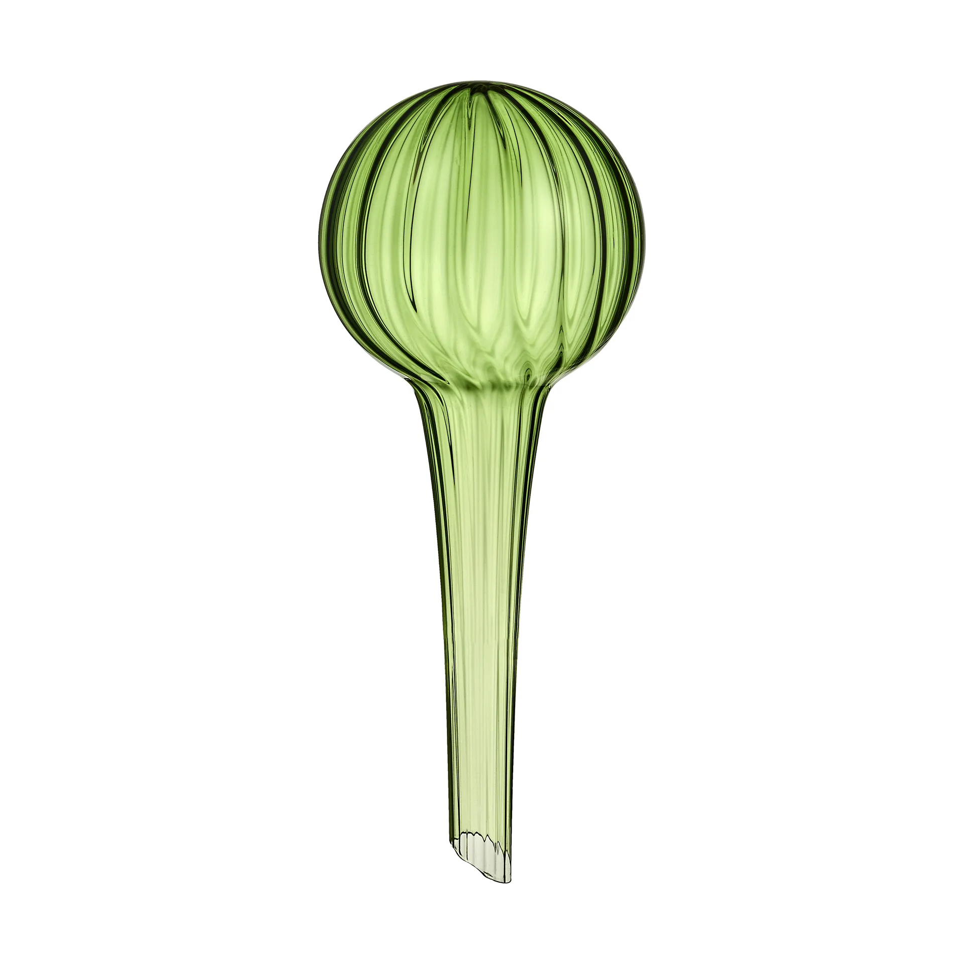 Muurla Système d'auto-arrosage Muurla Vert