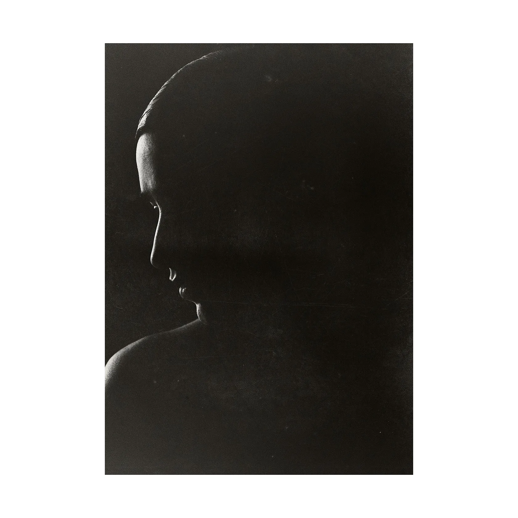 Paper Collective Poster The Silhouette cm