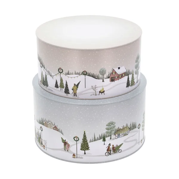 Vinter kakburk 2 delar, Arctic ice-woodrose